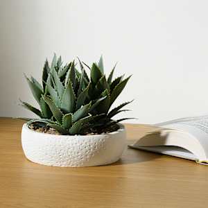 Plante artificielle Agave avec pot en ciment blanc VERTUO