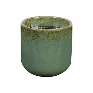 Bougie parfumée cyprès et bois d'agar 295 g