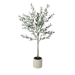 ASTELLA Artificial Olive Plant with White Plastic Pot 5 ft. 11 in.