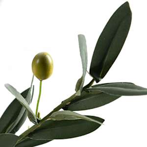 ASTELLA Artificial Olive Plant with White Plastic Pot 5 ft. 11 in.