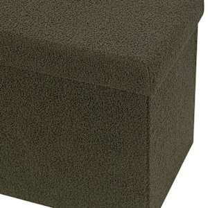 ASTELLA Green Teddy Foldable Storage Ottoman 29 7/8 in.