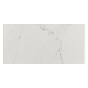 Naos Porcelain Tiles 12 in. x 24 in. Gloss