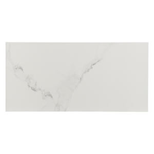 Naos Porcelain Tiles 12 in. x 24 in. Gloss