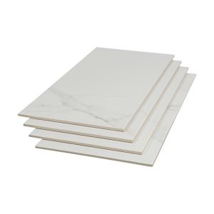 Naos Porcelain Tiles 12 in. x 24 in. Gloss