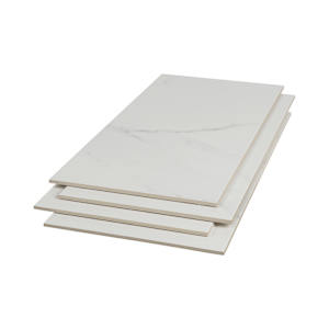 Naos Porcelain Tiles 12 in. x 24 in. Gloss