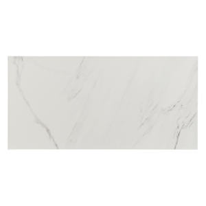 Naos Porcelain Tiles 12 in. x 24 in. Gloss