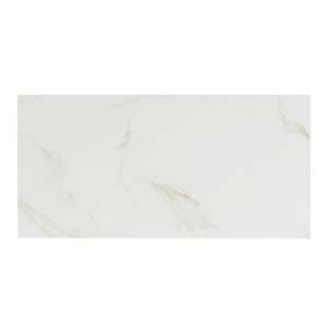 Carreaux de porcelaine Naos or 12 po x 24 po Mat