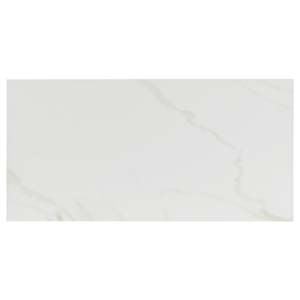 Carreaux de porcelaine Naos or 12 po x 24 po Mat