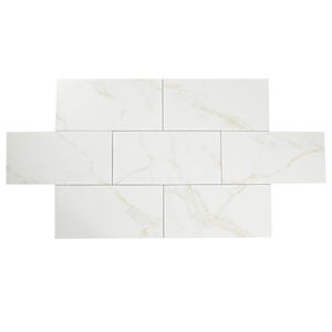 Carreaux de porcelaine Naos or 12 po x 24 po Mat