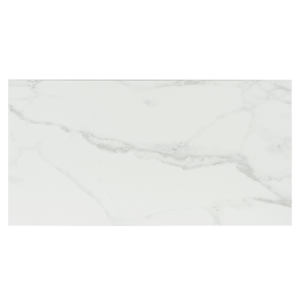 Statuary White Wave Porcelain Tiles 12 in. x 24 in.