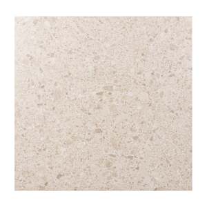 Mas Beko Blanco Porcelain Tiles 24 in. x 24 in.