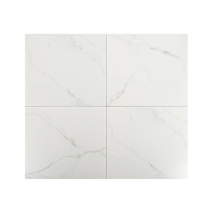 Carreaux de porcelaine Naos Blanco 24 po x 24 po