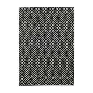 Harlow Interior and Exterior Carpet 4 ft. x 6 ft. Dark