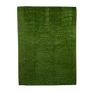 VERTUO De Luxe Lawn Interior and Exterior Carpet 5 ft. x 7 ft. Green