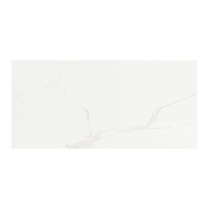 Alpine Carrara Rectified Porcelain Tiles 12 in. x 24 in.