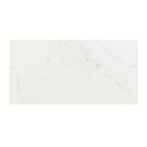 Carreaux de porcelaine Naos 12 po x 24 po