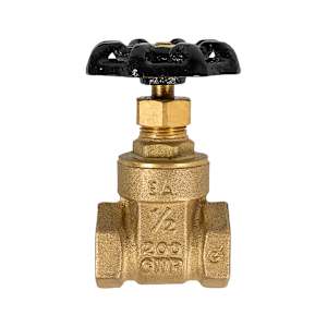 Gate Valve 1/2 in. x 1/2 in. NPT