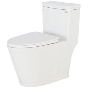 Toilette monobloc à simple chasse blanche Quebec 4,8 L TASSILI SUPRA