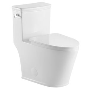 Toilette monobloc à simple chasse blanche Quebec 4,8 L TASSILI SUPRA