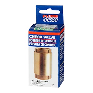 Well Jet Pump Check Valve 1 in.