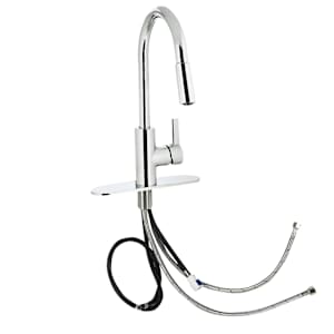 1-Handle Pull-Out Kitchen Faucet Polished Chrome