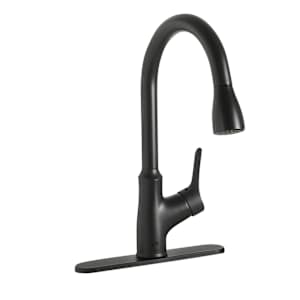 Fusio 1-Handle Pull-Out Kitchen Faucet Black