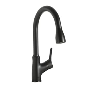 Fusio 1-Handle Pull-Out Kitchen Faucet Black