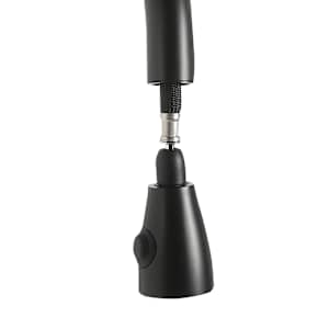 Fusio 1-Handle Pull-Out Kitchen Faucet Black