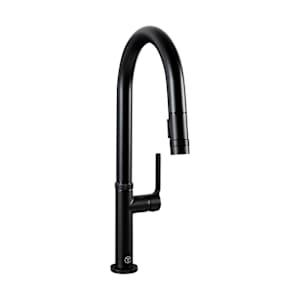 TASSILI SUPRA Federico 1-Handle Pull-Out Kitchen Faucet Black