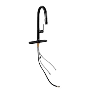 TASSILI SUPRA Federico 1-Handle Pull-Out Kitchen Faucet Black