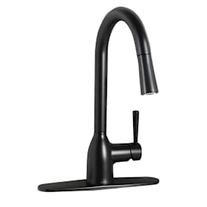 Moen Adler 1-Handle Pull-Out Kitchen Faucet Black