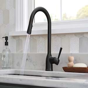 Moen Adler 1-Handle Pull-Out Kitchen Faucet Black