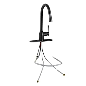Moen Adler 1-Handle Pull-Out Kitchen Faucet Black