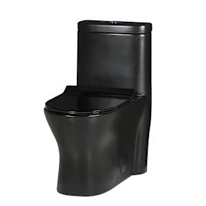 Toilette monobloc à double chasse noire Restigouche 4 L/6 L