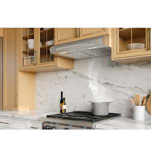 Hotte de cuisine Alta 4306SS 30 po acier inoxydable 640 pi³/min