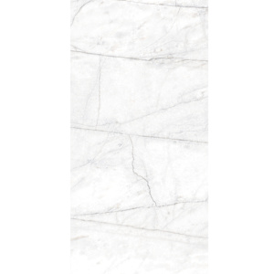 Panneau mural de douche Everest 47 po x 96 po