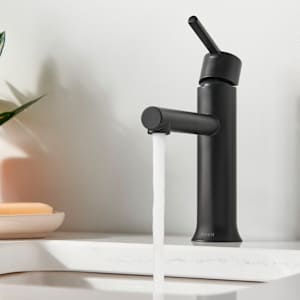 Robinet de lavabo 1 poignée Arlys Moen noir