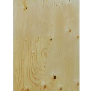 Standard Spruce Plywood 3/4 in. x 4 ft. x 8 ft.