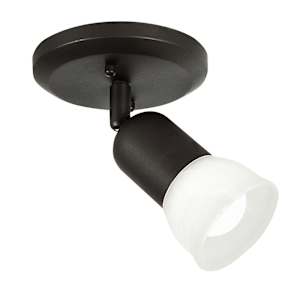 Jasper 1-Light Ceiling Mount