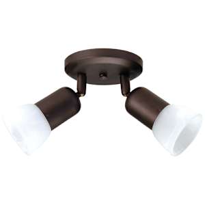 Jasper 2-Light Ceiling Mount