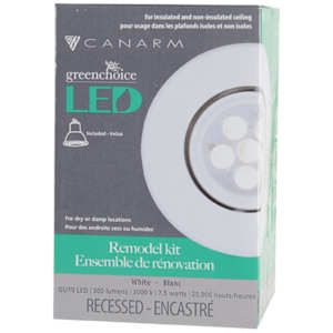 Recessed LED Light 3 in. White