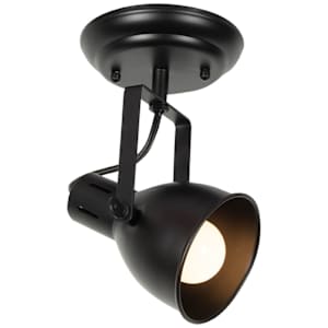Carey 1-Light Ceiling Mount