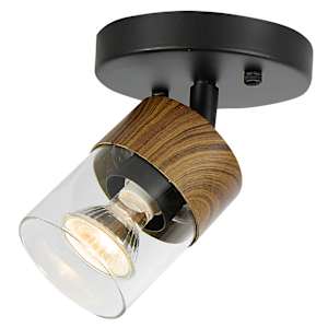 Georges 1-Light Ceiling Mount