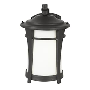Maya 1-Light Outdoor Wall Mount Black