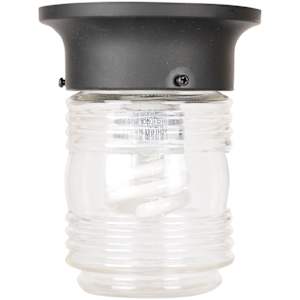 1-Light Ceiling Mount Black