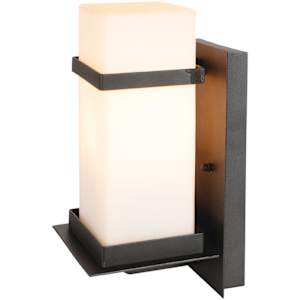 Havana 1-Light Outdoor Wall Mount Black