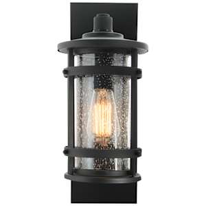 Duffy 1-Light Outdoor Wall Mount Black