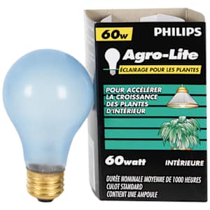 Incandescent Plant Bulb60 W