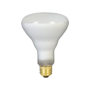 BR30 Incandescent Reflector Light Bulb 65 W