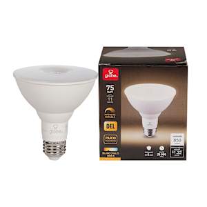 Ampoule-réflecteur DEL PAR30, 12 W